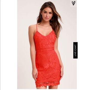 Perfect Love Lace Mini Dress Lulu’s NWT